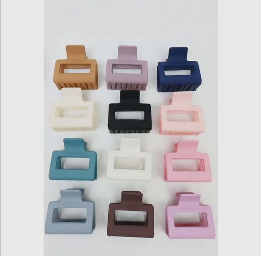 Mini Claw Clips (2 pack)