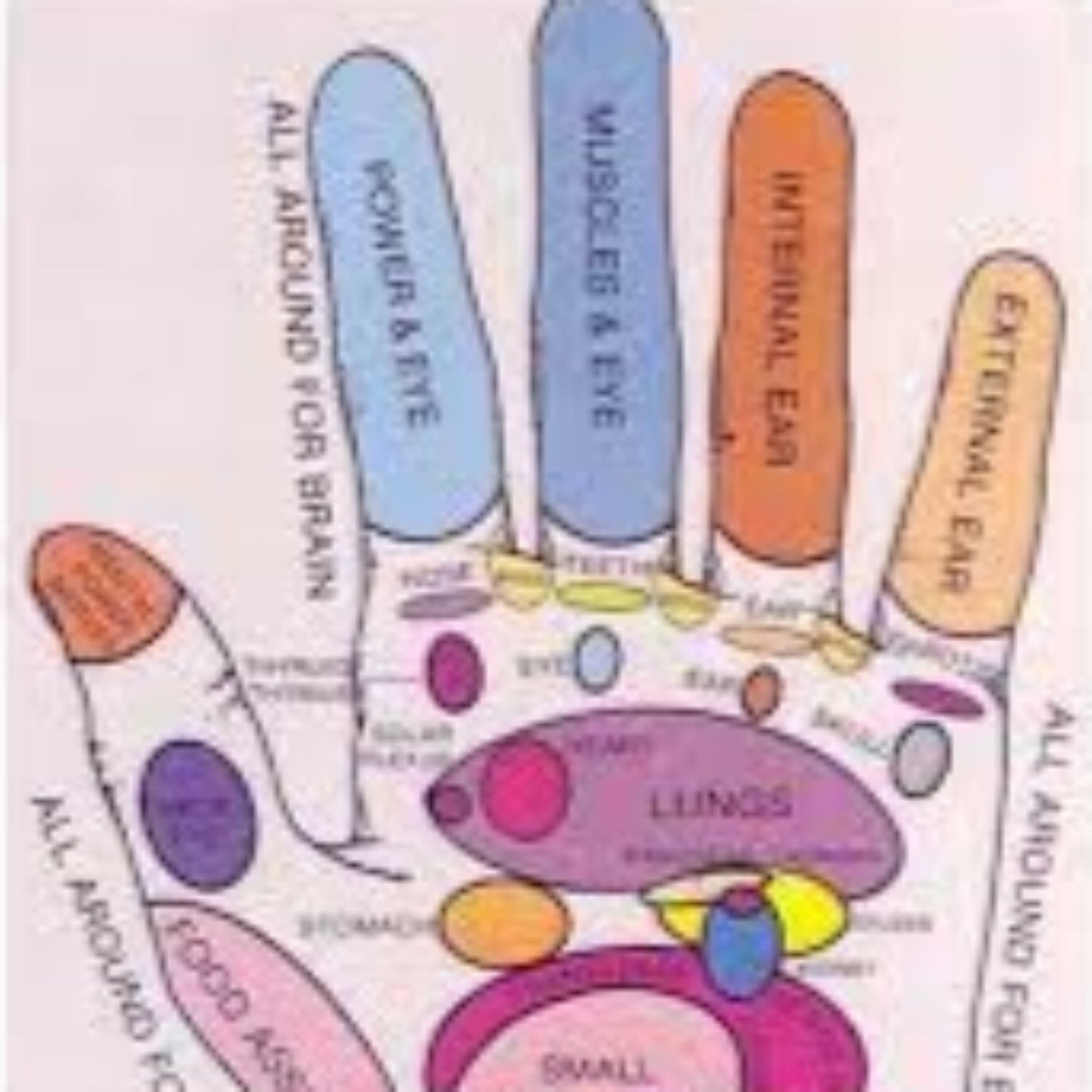 90 Minute Reflexology