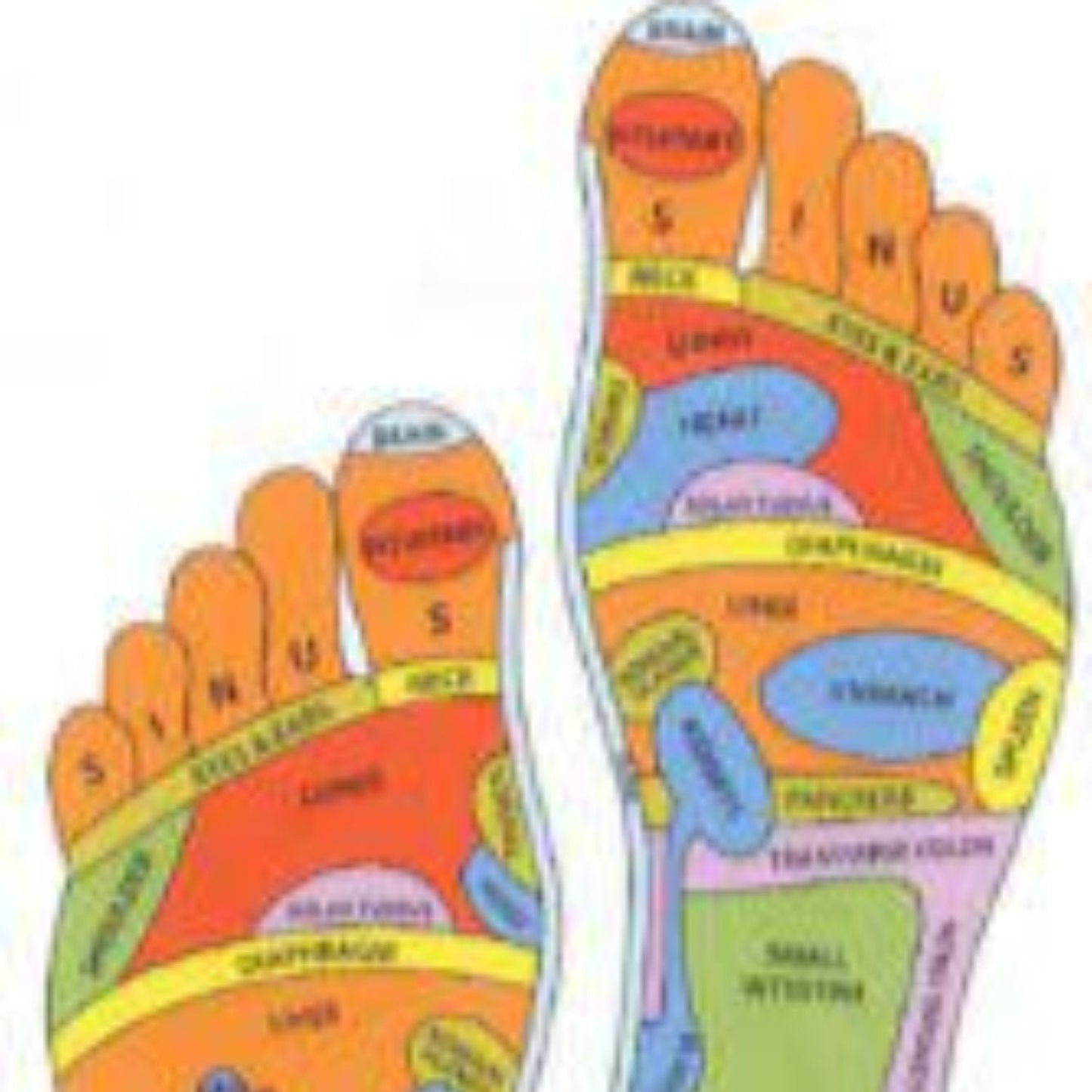 90 Minute Reflexology